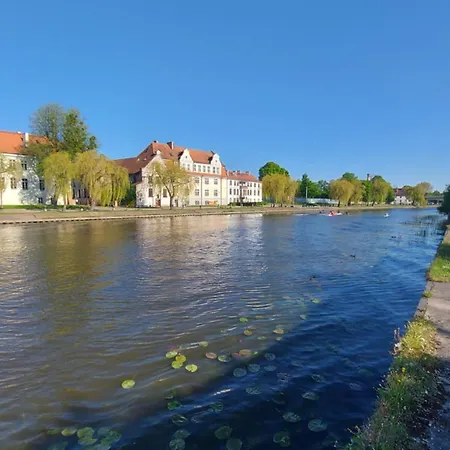 Apartamento Stare Kwiaty