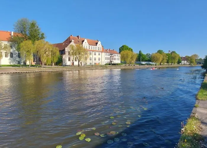 Apartament Stare Kwiaty